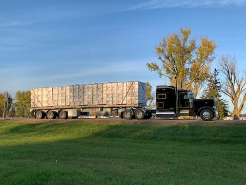 Peterbilt